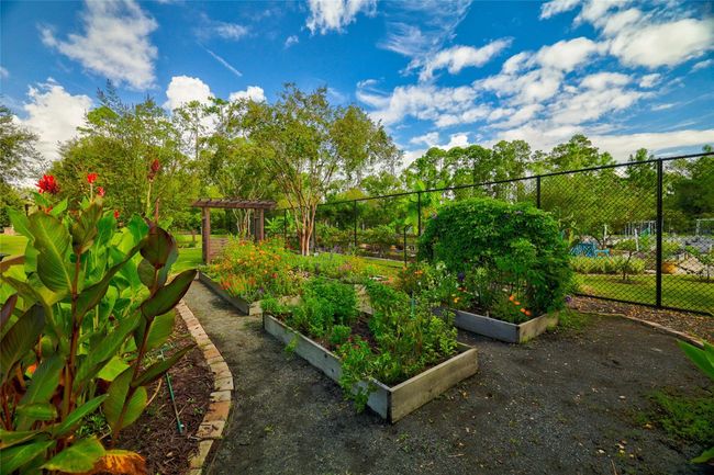 Resident-only community garden—just one of the many lifestyle amenities in Del Webb | Image 32