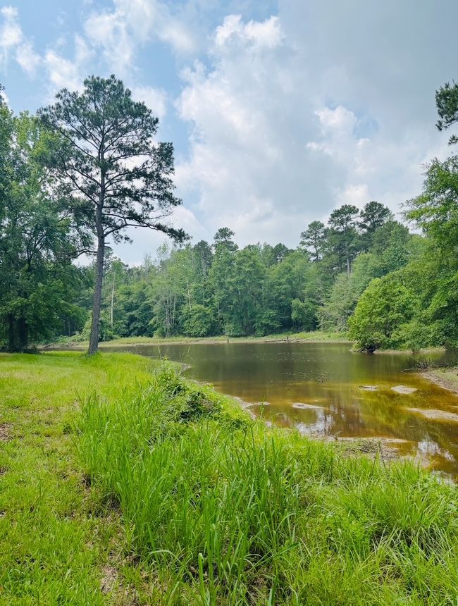 11746 County Road 352 E, House other with 3 bedrooms, 2 bathrooms and null parking in Henderson TX | Image 38