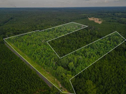 01 Oak Grove Rd, Silver Creek, MS, 39663 | Card Image