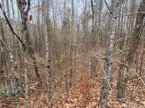 Lot 77 Mustang Dr, Clinton, AR, 72031 | Card Image