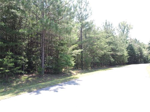 327-000 N Dakota Dr, Rutherfordton, NC, 28139 | Card Image