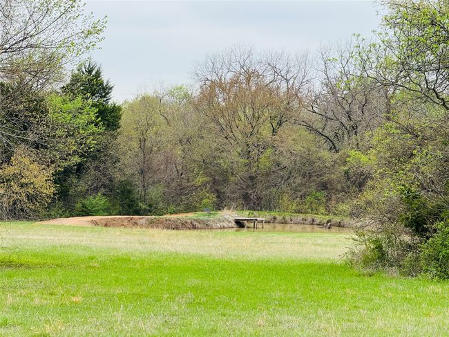 West Pond | Image 32