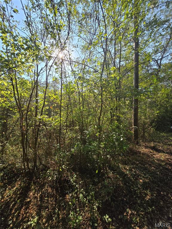 Land in Newburg 5