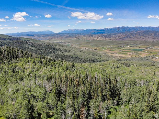 Mountain view featuring a forest view | Image 24