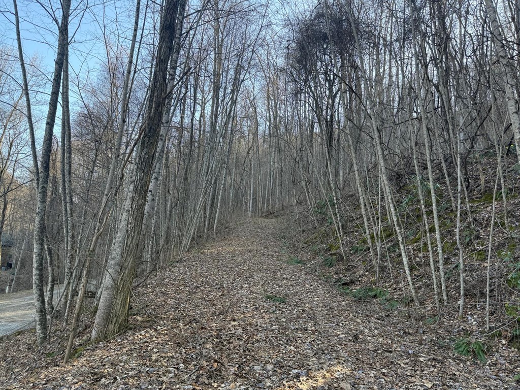 Land in Bryson City 5