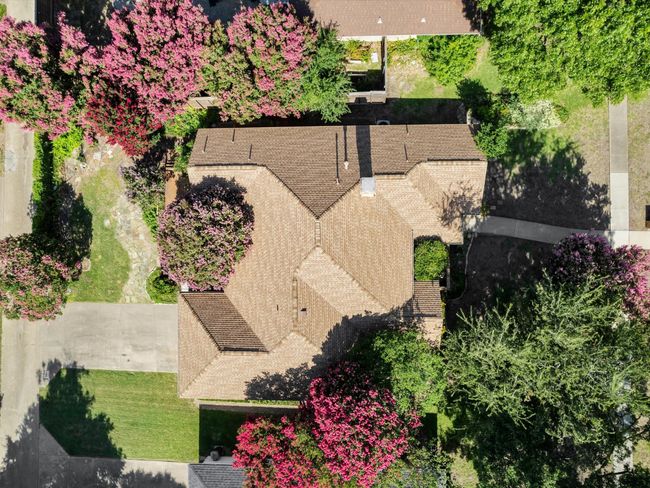 View of the home showcasing the large colorful trees. | Image 39