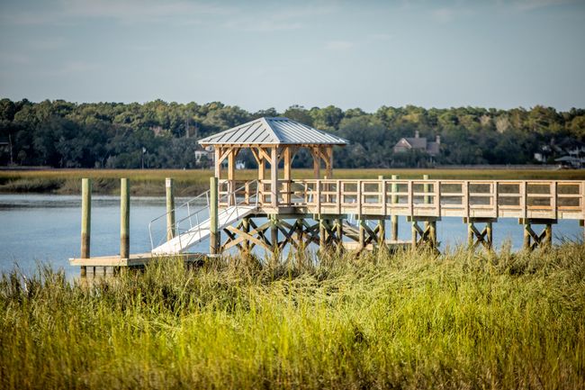 Danie Island Park | Image 29
