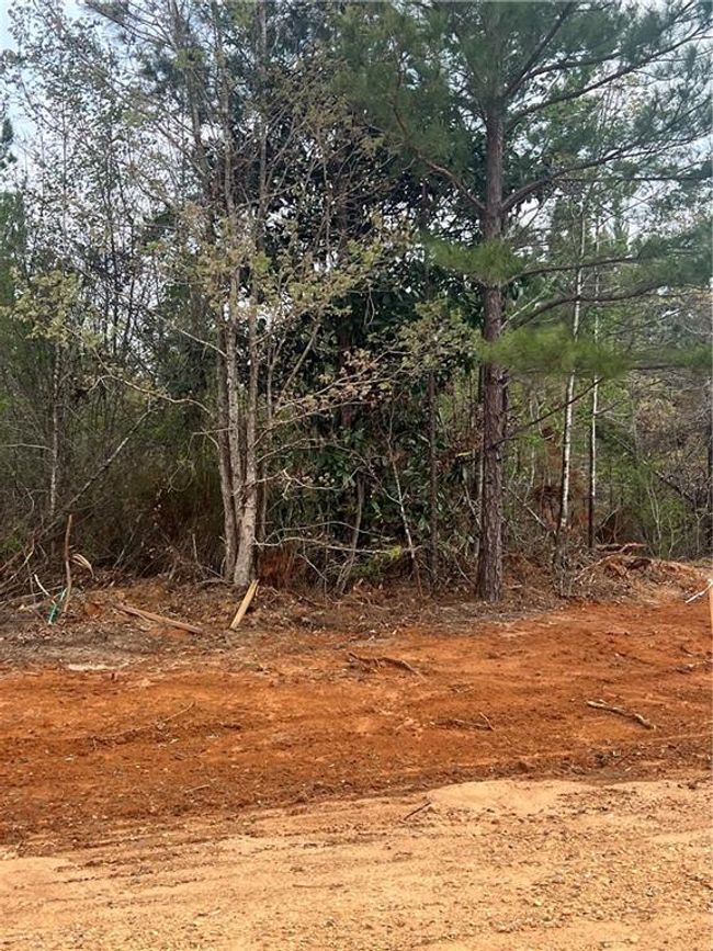 3 Scotts Path, Home with 0 bedrooms, 0 bathrooms and null parking in Pollock LA | Image 4