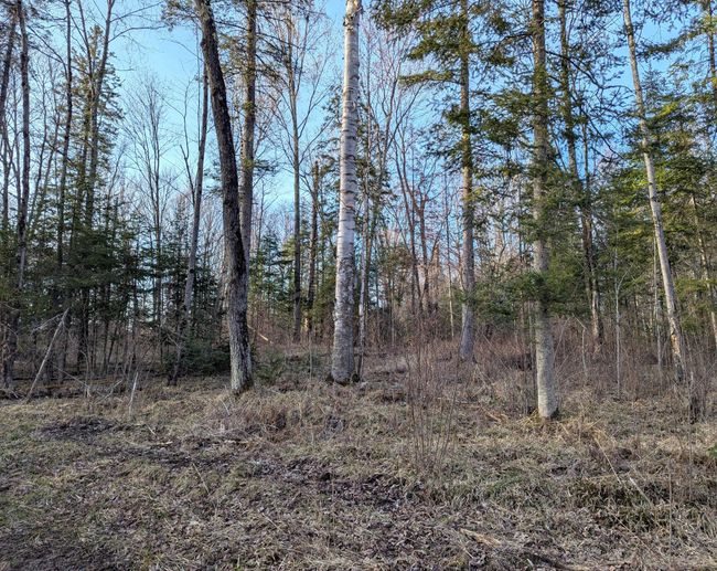 00 Cth X, Home with 0 bedrooms, 0 bathrooms and null parking in PRENTICE WI | Image 23