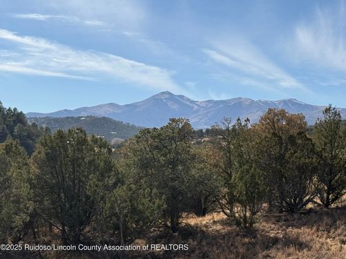 125 Comanche Ct, Alto, NM, 88312-9565 | Card Image