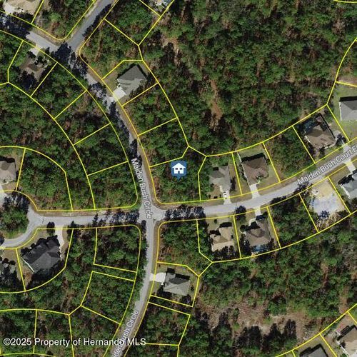 2 Maidenbush Ct E, HOMOSASSA, FL, 34446-4418 | Card Image