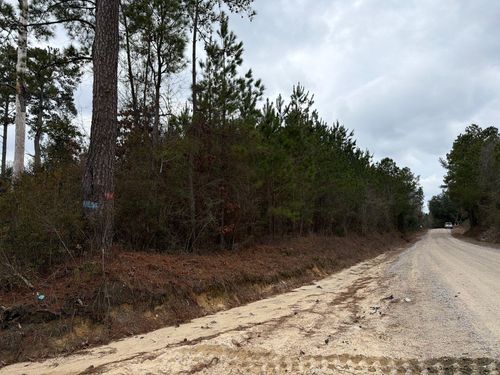bff-ii-2-Bff Ii 2 J C Barefoot Road, Patrick, SC, 29584 | Card Image