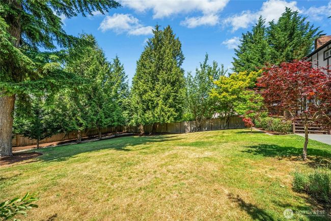 Back yard | Image 34