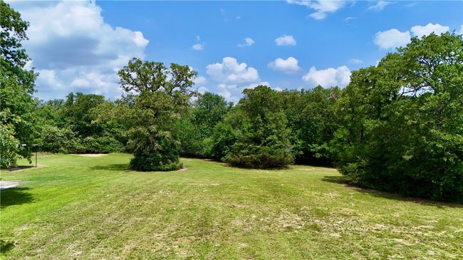 View of grassy yard | Image 7