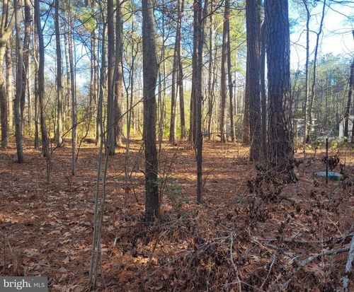 Lot 8 Diamond Dr, HAGUE, VA, 22469 | Card Image