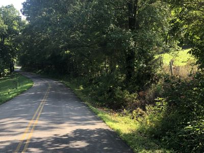 0 Murphy Hollow Road   Tract 1, Home with 0 bedrooms, 0 bathrooms and null parking in Vanleer TN | Image 1