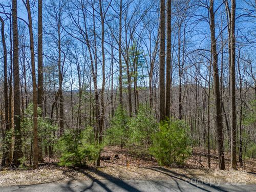 51-132 Overlook Park Dr, Hendersonville, NC, 28792-6484 | Card Image