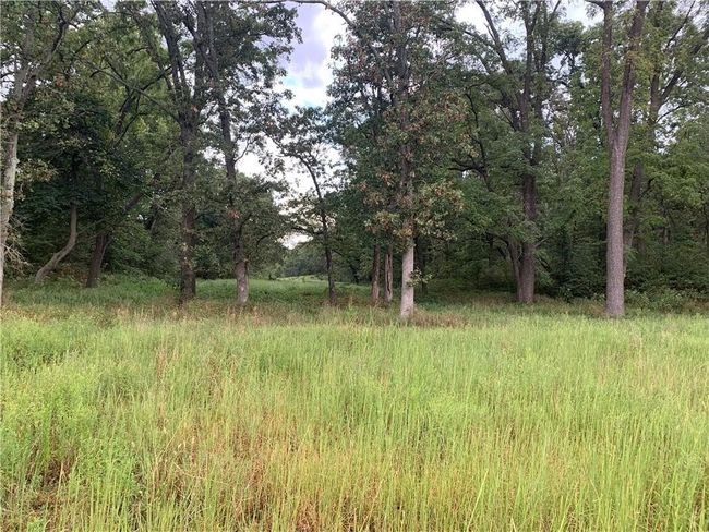 8 N Mt Olive Road, Home with 0 bedrooms, 0 bathrooms and null parking in Gravette AR | Image 12