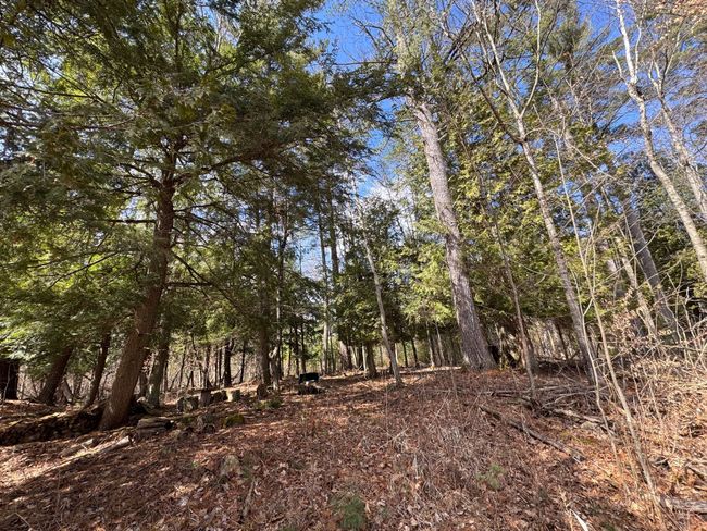 4233 Hardacre Trl, Home with 0 bedrooms, 0 bathrooms and null parking in Houghton Lake MI | Image 20