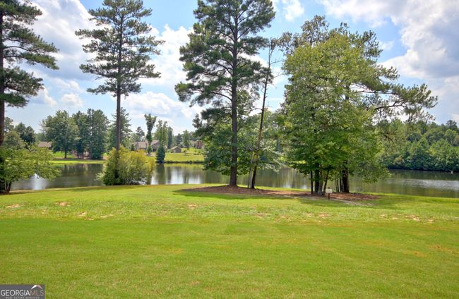 383 Beaumont Farms Dr, House other with 6 bedrooms, 5 bathrooms and null parking in Sharpsburg GA | Image 79