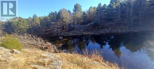 LT 21 Con 9 Kaladar, Addington Highlands (Addington Highlands), ON, K0H2G0 | Card Image