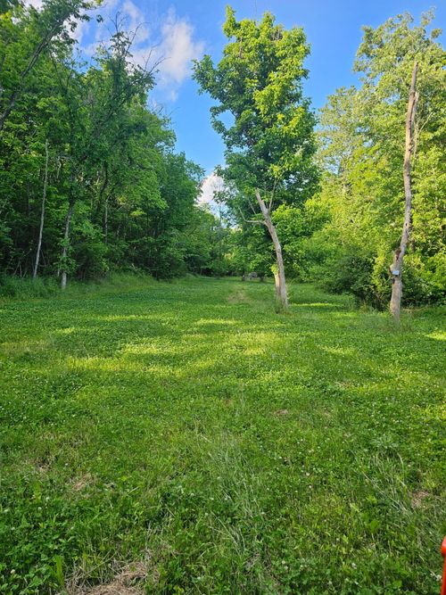 1 Saltwell Rd, Carlisle, KY, 40311 | Card Image