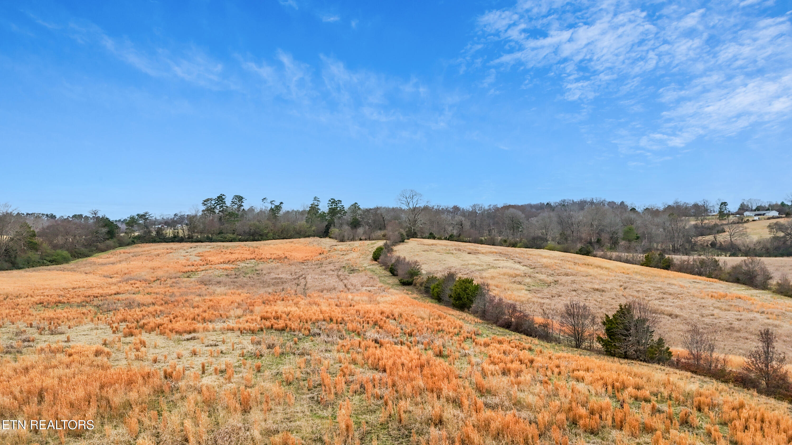 Land in Maryville 5