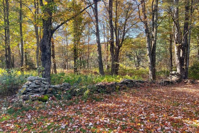 11441184 Hollister Hill Rd, House other with 6 bedrooms, 5 bathrooms and null parking in Delhi NY | Image 89