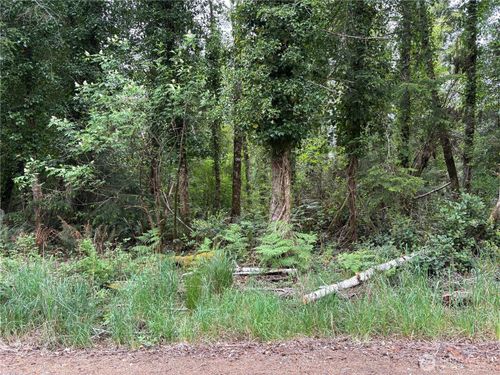 285 XX Z Pl, Ocean Park, WA, 98640 | Card Image