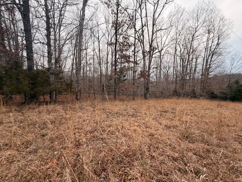 4 Blue Bird Ct, Nunnelly, TN, 37137 | Card Image