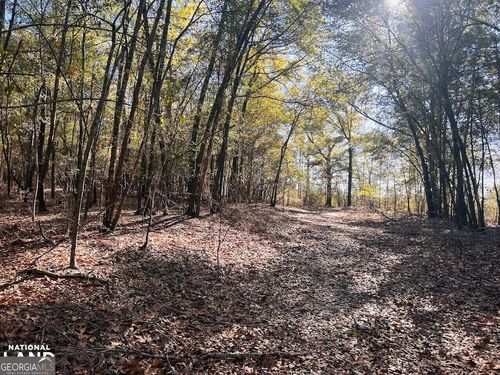 0 Mill Pond Rd, Coleman, GA, 39836 | Card Image