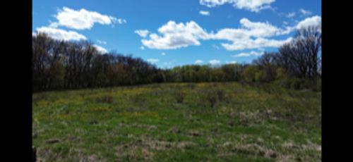 140th Av 140th Avenue, Foreston, MN, 56330 | Card Image