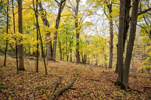 Lot 152 Pine Cone Lane, Woodland, WI, 53941 | Card Image