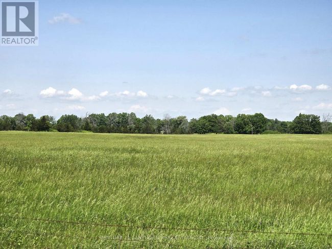 4893 Old Highway 2 Highway, Home with 4 bedrooms, 2 bathrooms and 9 parking in Belleville (Belleville Ward) ON | Image 14