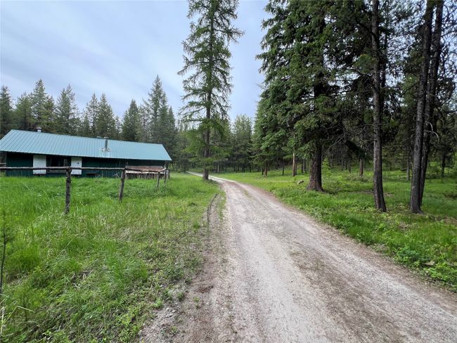 another angle of teh meadow | Image 96