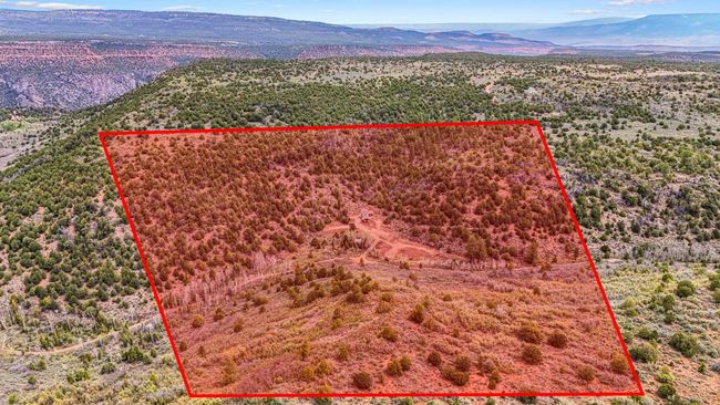 7465 Uncompahgre Divide Rd, Home with 3 bedrooms, 1 bathrooms and null parking in Whitewater CO | Image 34