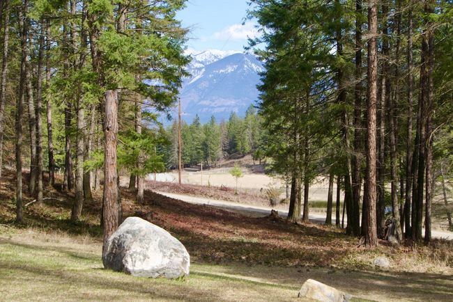 View of yard featuring a mountain view | Image 58