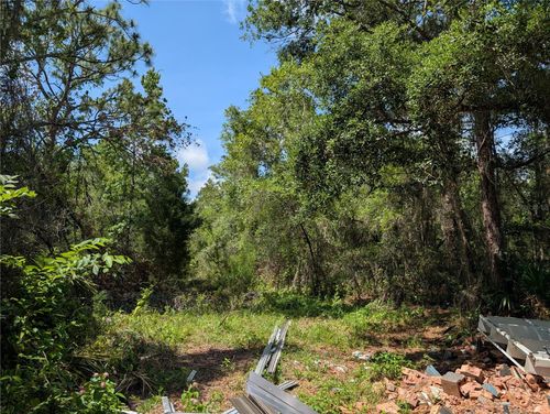 TBD Shalimar, New Port Richey, FL, 34654 | Card Image