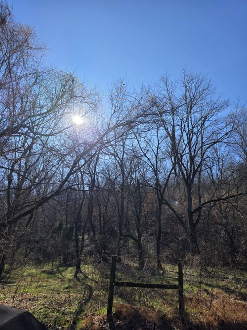 0 Rock Spring Rd, Ethridge, TN, 38456 | Card Image