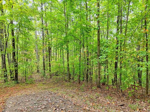 Lot 1 Skyview Dr, Hayesville, NC, 28904-9393 | Card Image