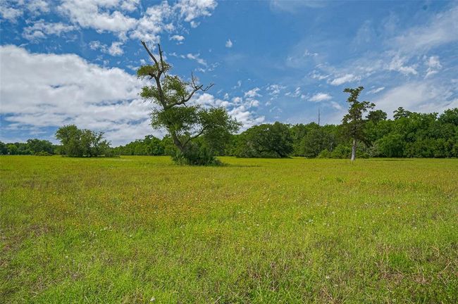 2015 Summers Rd, Home with 0 bedrooms, 0 bathrooms and null parking in Damon TX | Image 18