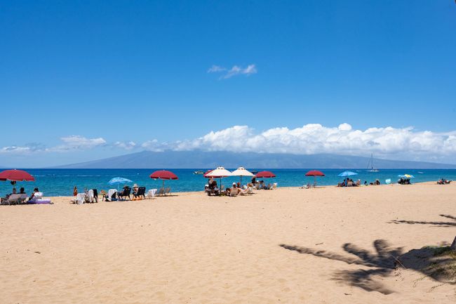 1106 - 50 Nohea Kai Dr, Condo with 2 bedrooms, 2 bathrooms and null parking in Lahaina HI | Image 47