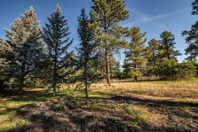 69 Ace Court, Townhouse with 3 bedrooms, 2 bathrooms and null parking in Pagosa Springs CO | Image 3