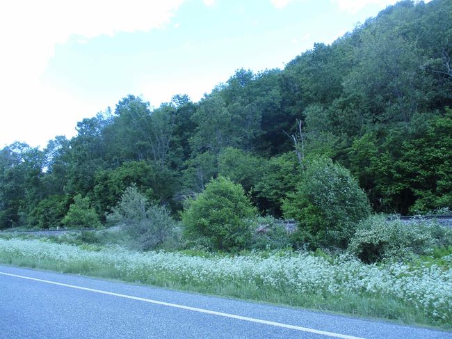 0 Vt Route 12 A, Home with 0 bedrooms, 0 bathrooms and null parking in Randolph VT | Image 6