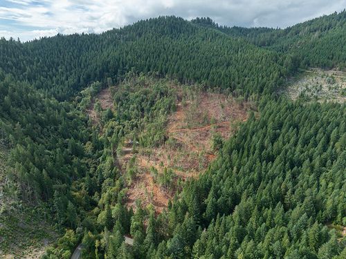 1132 Bridge Ln, Wolf Creek, OR, 97497-9590 | Card Image