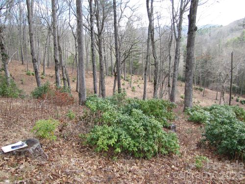 580 N Robinson Creek Rd, Glenville, NC, 28736-0480 | Card Image