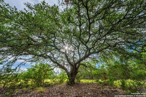 888 Buckskin Trail, Bandera, TX, 78003 | Card Image