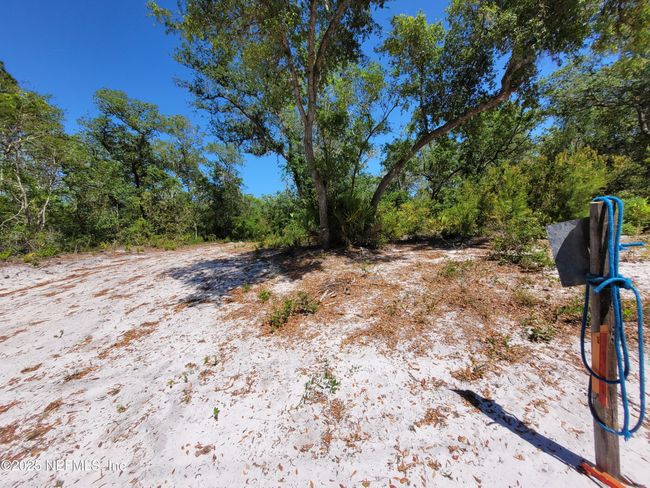 2155 State Road 40, Home with 0 bedrooms, 0 bathrooms and null parking in De Leon Springs FL | Image 68