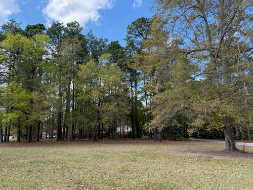 0 Otis Rd. & Longleaf Drive, Walterboro, SC, 29488 | Card Image