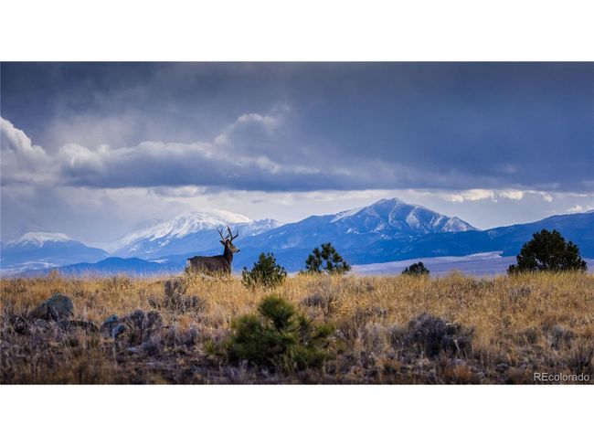 1699 Sangre Dr, House other with 2 bedrooms, 2 bathrooms and null parking in Westcliffe CO | Image 35